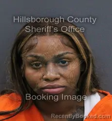 Mugshot of Tionnie Nicole Watkins booked in Hillsborough County, Florida on September 14, 2026