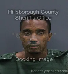 Mugshot of Edgar Jr Carroll booked in Hillsborough County, Florida on September 14, 2026