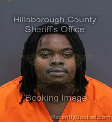 Mugshot of Alvin Russell Hancock booked in Hillsborough County, Florida on September 14, 2026