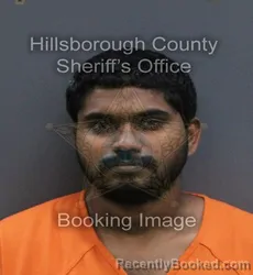 Mugshot of Anand Kumar Pavuluri booked in Hillsborough County, Florida on September 14, 2026