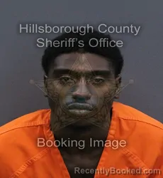 Mugshot of Kaime Kendarius Ivey booked in Hillsborough County, Florida on September 14, 2026