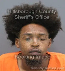 Mugshot of Desmond Tyreck Young booked in Hillsborough County, Florida on September 14, 2026