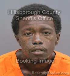 Mugshot of Davvin Oma Delayne Robinson booked in Hillsborough County, Florida on September 14, 2026