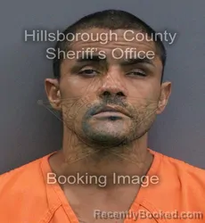 Mugshot of Anthony Miguel Beck booked in Hillsborough County, Florida on September 14, 2026
