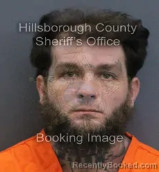 Mugshot of Robert Schneider booked in Hillsborough County, Florida on September 14, 2026