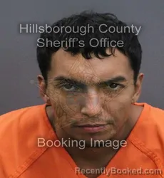 Mugshot of Henrry Miguel Rosado Jimenez booked in Hillsborough County, Florida on September 14, 2026