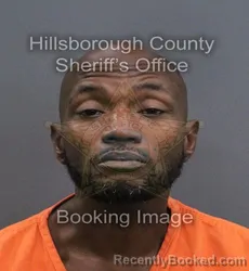 Mugshot of Kenya Antwan Thornton booked in Hillsborough County, Florida on September 14, 2026
