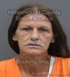 Mugshot of Celica Joyce Cherry booked in Hillsborough County, Florida on September 14, 2026