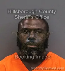 Mugshot of D'Andre Antwan Peacock booked in Hillsborough County, Florida on September 14, 2026