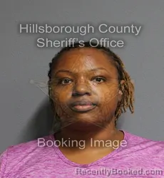 Mugshot of Torey Cristina Fellows booked in Hillsborough County, Florida on September 14, 2026