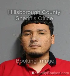 Mugshot of Elvis Gil Fuentes booked in Hillsborough County, Florida on September 14, 2026