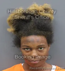 Mugshot of Mi'Kayla Atiyana Murphy booked in Hillsborough County, Florida on September 14, 2026
