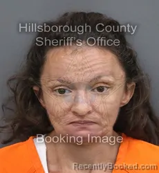 Mugshot of Danielle C Dimari booked in Hillsborough County, Florida on September 14, 2026