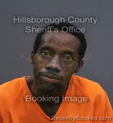Mugshot of Eric Demitris Nelson booked in Hillsborough County, Florida on September 14, 2026