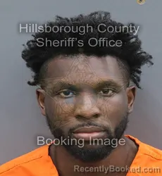 Mugshot of James Leon Thornton booked in Hillsborough County, Florida on September 14, 2026