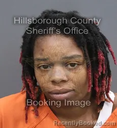 Mugshot of Bridillia Queshana Antionette Spencer booked in Hillsborough County, Florida on September 14, 2026