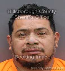 Booking photo from Hillsborough County, Florida
