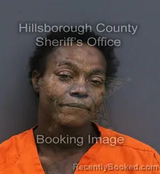 Mugshot of Mary Cathryn Martin booked in Hillsborough County, Florida on September 14, 2026