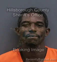 Mugshot of Julius Ervin I Johnson booked in Hillsborough County, Florida on September 14, 2026