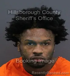 Mugshot of Demetrus Devon Bailey booked in Hillsborough County, Florida on September 14, 2026