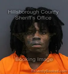 Mugshot of Jyikeem Ziquon Henry booked in Hillsborough County, Florida on September 14, 2026