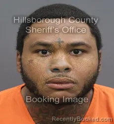 Mugshot of Shannon Jr Wiggins booked in Hillsborough County, Florida on September 14, 2026
