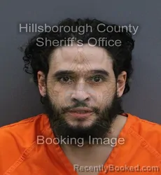Mugshot of Raymond Alcides Hernandez booked in Hillsborough County, Florida on September 14, 2026
