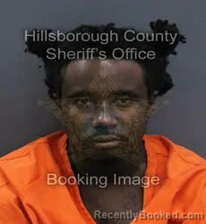 Mugshot of Willie David Iii Brown booked in Hillsborough County, Florida on September 14, 2026