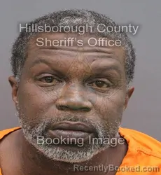 Mugshot of Dante Raynard Mcclain booked in Hillsborough County, Florida on September 15, 2026