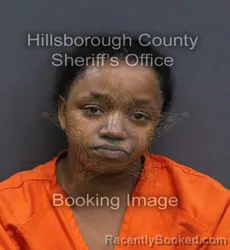 Mugshot of Jada Charez Raishawn Nix booked in Hillsborough County, Florida on September 15, 2026