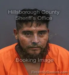 Mugshot of Jose Antonio Eligio-Acevedo booked in Hillsborough County, Florida on September 15, 2026