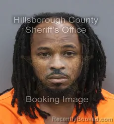 Mugshot of Somali Clinton Lewis booked in Hillsborough County, Florida on September 15, 2026
