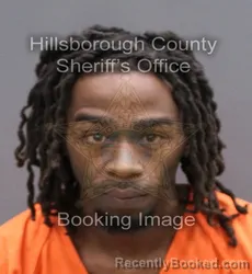 Booking photo from Hillsborough County, Florida