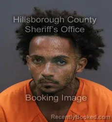 Mugshot of Alvolydo Jeremy Vargas booked in Hillsborough County, Florida on September 15, 2026