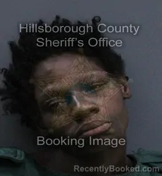 Mugshot of Lakesha Shanae Turner booked in Hillsborough County, Florida on September 15, 2026