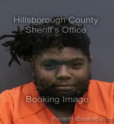 Mugshot of Mike Donnell Richardson booked in Hillsborough County, Florida on September 15, 2026