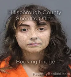 Mugshot of Aliyah Noelle Nieves booked in Hillsborough County, Florida on September 15, 2026