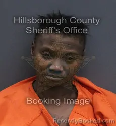 Mugshot of Kenyetta Diane Teel booked in Hillsborough County, Florida on September 15, 2026