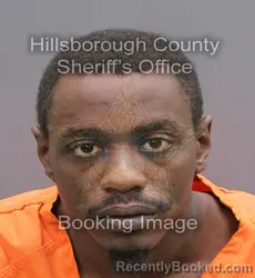 Booking photo from Hillsborough County, Florida