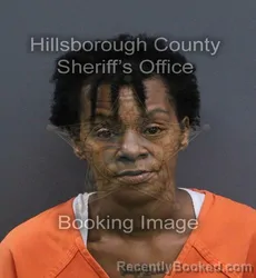 Mugshot of Lashelle R Liptrot booked in Hillsborough County, Florida on September 15, 2026