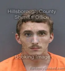 Mugshot of Ashton Levi Nickle booked in Hillsborough County, Florida on September 15, 2026
