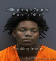 Mugshot of Byron Demongaux Woods booked in Hillsborough County, Florida on September 15, 2026