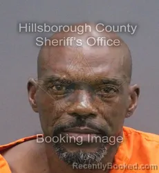 Mugshot of Michael Laray Timmons booked in Hillsborough County, Florida on September 15, 2026