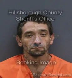 Mugshot of Richard Jerome Heinze booked in Hillsborough County, Florida on September 15, 2026