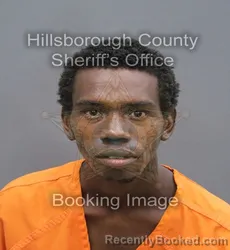 Mugshot of Jerome Reed booked in Hillsborough County, Florida on September 15, 2026