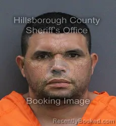 Mugshot of Cristian Jonathan Olavarria Gonzalez booked in Hillsborough County, Florida on September 15, 2026