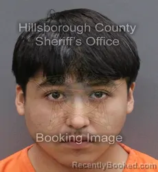Mugshot of ANDRES SALINAS-VEGAS