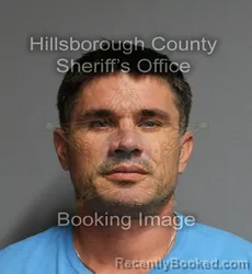 Mugshot of David William Jr Stephens booked in Hillsborough County, Florida on September 15, 2026
