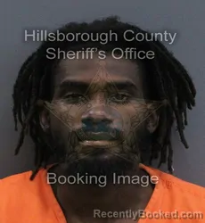 Mugshot of Deavion Taniko Rolle booked in Hillsborough County, Florida on September 15, 2026