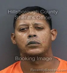 Mugshot of Noe Alexis Martinez Pizarro booked in Hillsborough County, Florida on September 15, 2026